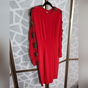Luxe Crimson Dress